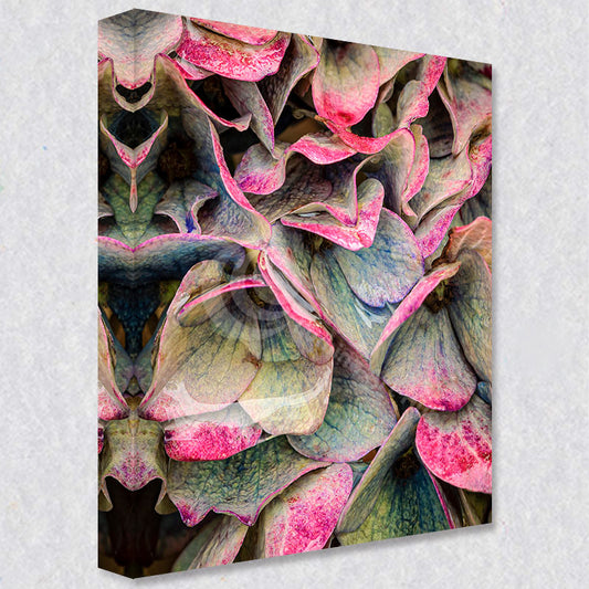 Autumn's Embrace photograph