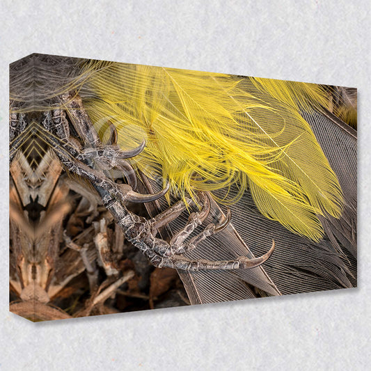 "Echos of Flight" canvas art