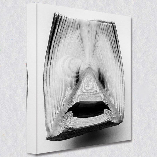 "Expressions of Nature"