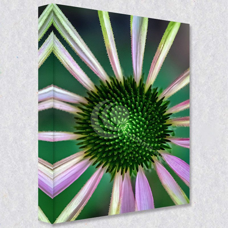 "Floral Fusion"