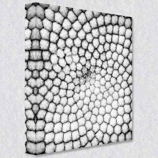 "Petals and Patterns"