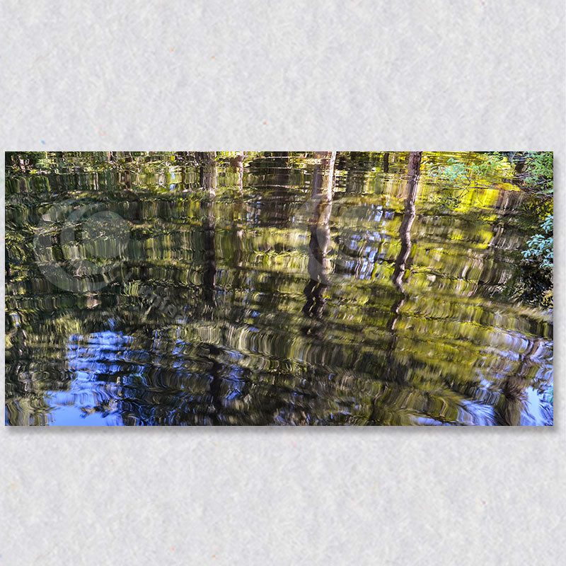 "Ripples of Nature"
