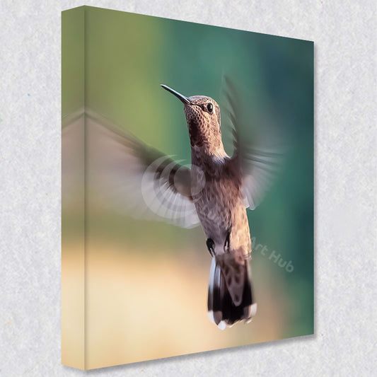 "Suspended Flight" photograph