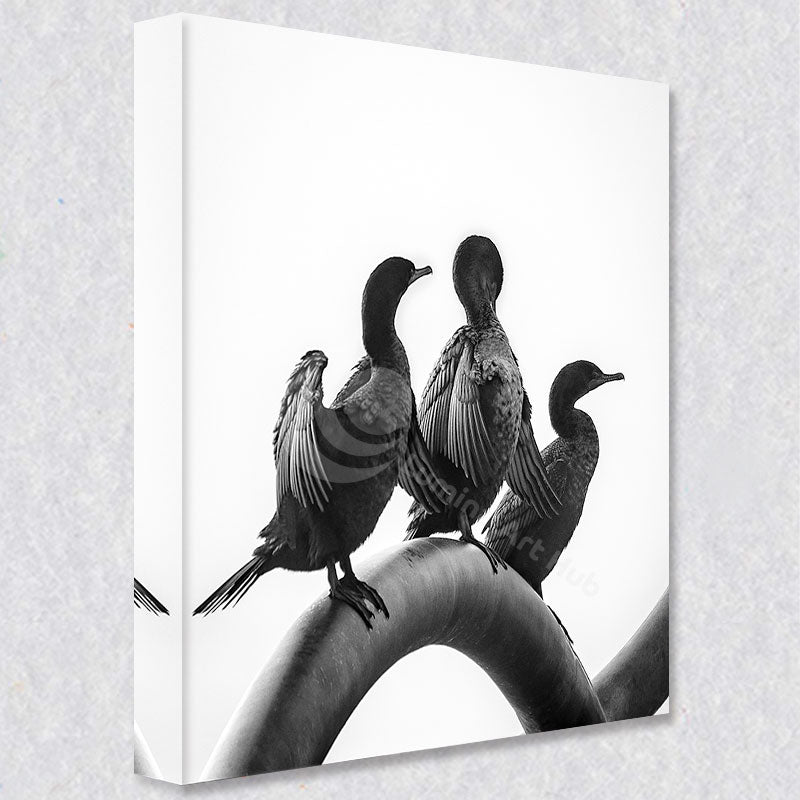 "Trio in Harmony"