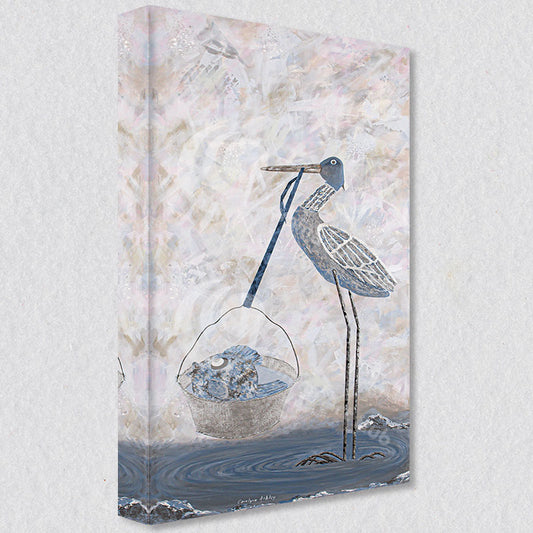 Black & White Photography