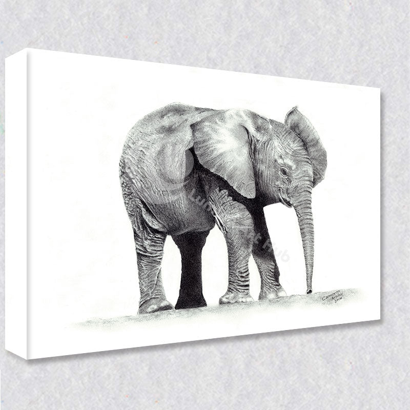 "Savana Sprout" comes as a gallery wrapped canvas print with a rich 1.5 inch thick wood frame. We use a moisture resistant poly-cotton canvas that will not sag and high quality inks that will last over 100 years.