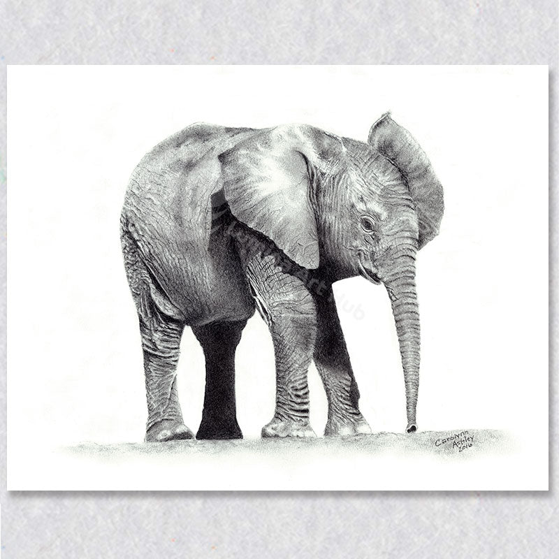 "Savanna Sprout" wall art depicts a brand new baby elephant born on the savanna of African.
