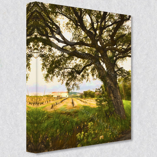 "Cork Tree Serenity" photograph