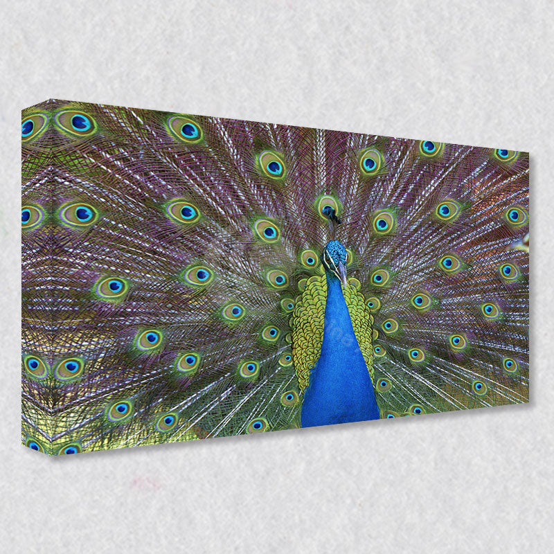 "Malaysian Splendor" photograph comes as a gallery wrapped canvas print with a rich 1.5 inch thick wood frame. We use a moisture resistant poly-cotton canvas that will not sag and high quality inks that will last over 100 years.