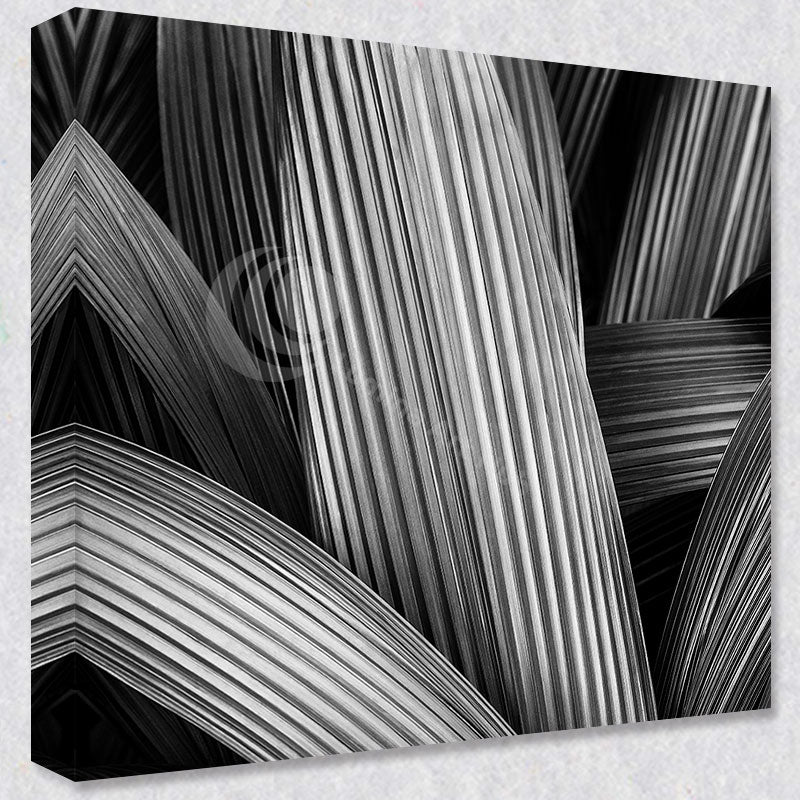 "Linear Elegance"