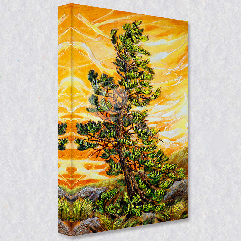 "Summer Pine" comes as a gallery wrapped canvas print with a rich 1.5 inch thick wood frame. We use a moisture resistant poly-cotton canvas that will not sag and high quality inks that will last over 100 years.