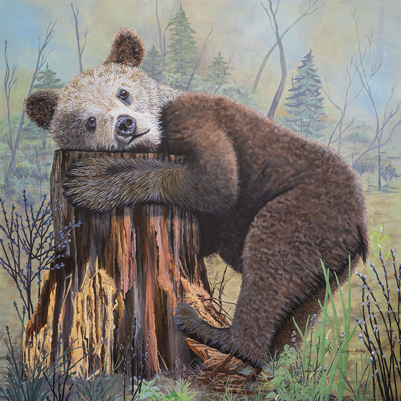 Wildlife Animal paintings from BC artists.