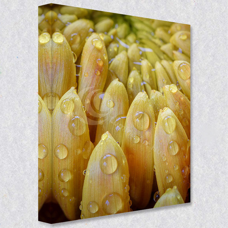 "Rain-Kissed Layers" comes as a gallery wrapped canvas print with a rich 1.5 inch thick wood frame. We use a moisture resistant poly-cotton canvas that will not sag and high quality inks that will last over 100 years.