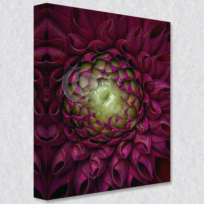 "Petal Dance" comes as a gallery wrapped canvas print with a rich 1.5 inch thick wood frame. We use a moisture resistant poly-cotton canvas that will not sag and high quality inks that will last over 100 years.