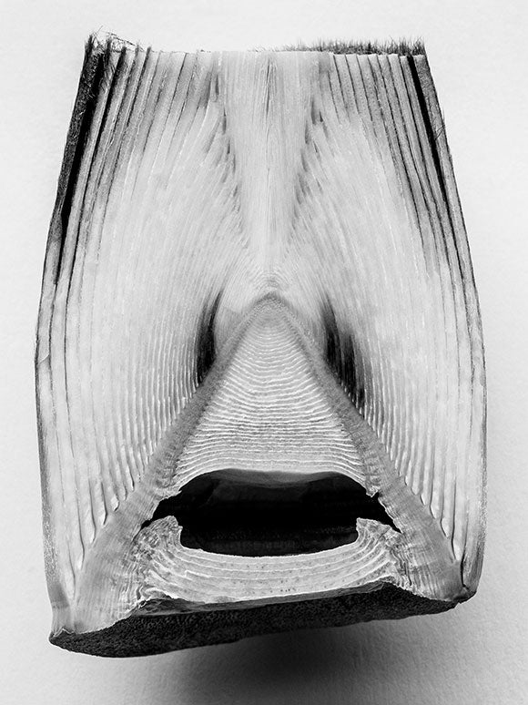 black and white photography