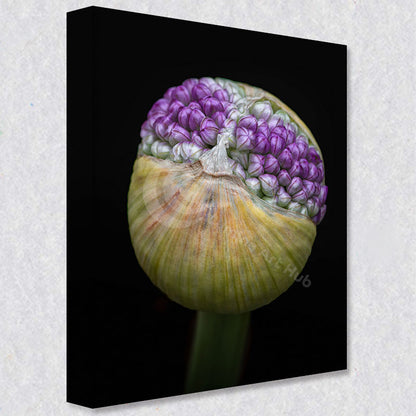 "Floral Constellation" comes as a gallery wrapped canvas print with a rich 1.5 inch thick wood frame. We use a moisture resistant poly-cotton canvas that will not sag and high quality inks that will last over 100 years.