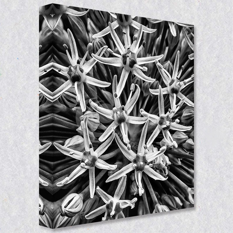 "Monochrome Bloom" comes as a gallery wrapped canvas print with a rich 1.5 inch thick wood frame. We use a moisture resistant poly-cotton canvas that will not sag and high quality inks that will last over 100 years.