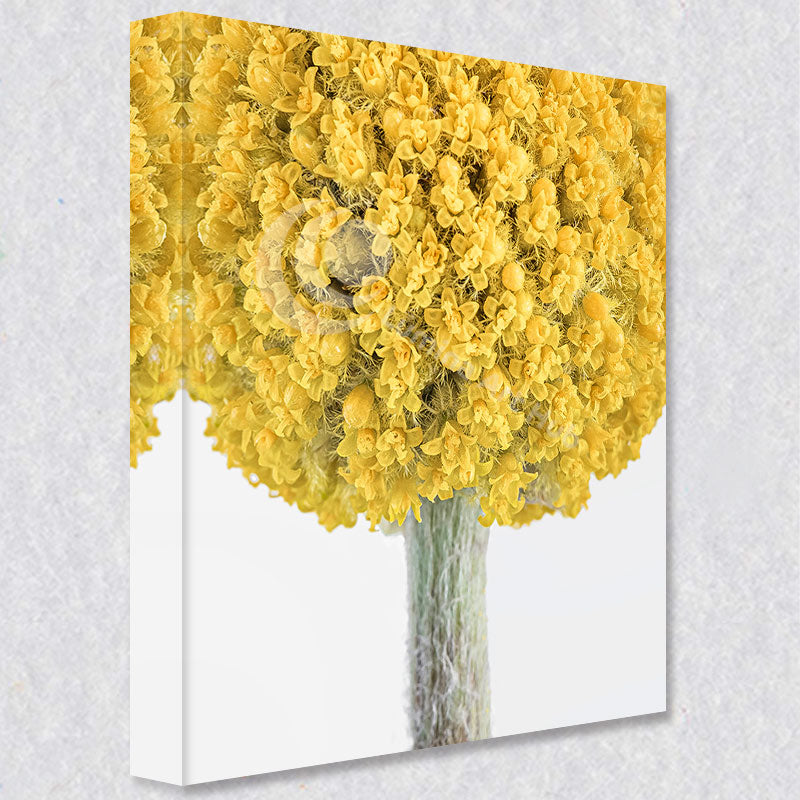 "Sunny Sphere" comes as a gallery wrapped canvas print with a rich 1.5 inch thick wood frame. We use a moisture resistant poly-cotton canvas that will not sag and high quality inks that will last over 100 years.