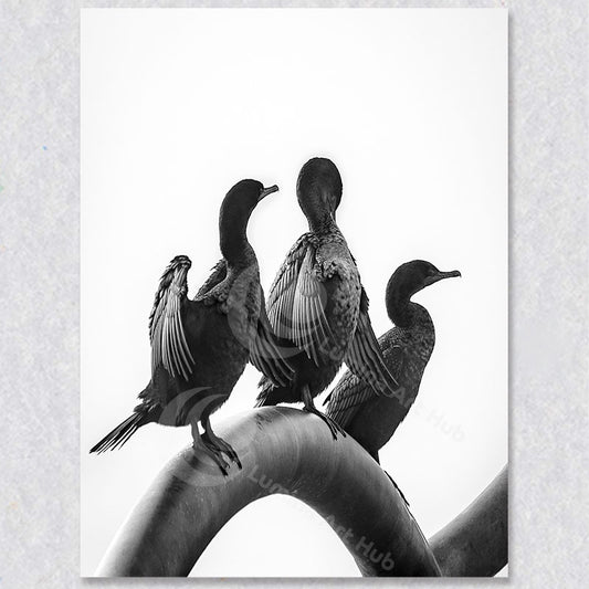 "Trio in Harmony" black and white photograph by Brian Houle.