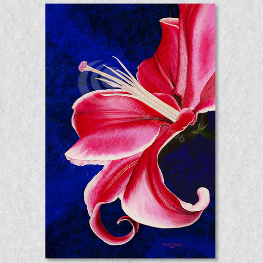 "Sassy" wall art print is by Canadian artist Carolynn Ashley. This realist depiction of a lily is bright and vibrant.