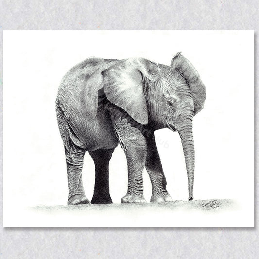 "Savanna Sprout" wall art depicts a brand new baby elephant born on the savanna of African.