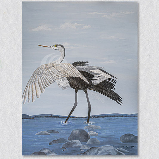 "Shouldi" I fly or should I look for a fresh fish to eat. This wall art by Carolynn Ashley will look great in your home.