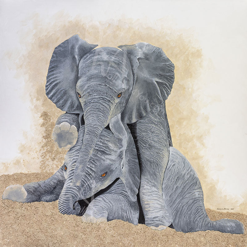 Tumbling Trunks original mixed media elephant painting by Canadian artist Carolynn Ashley, 36 x 36 inches, featuring two playful African elephants.