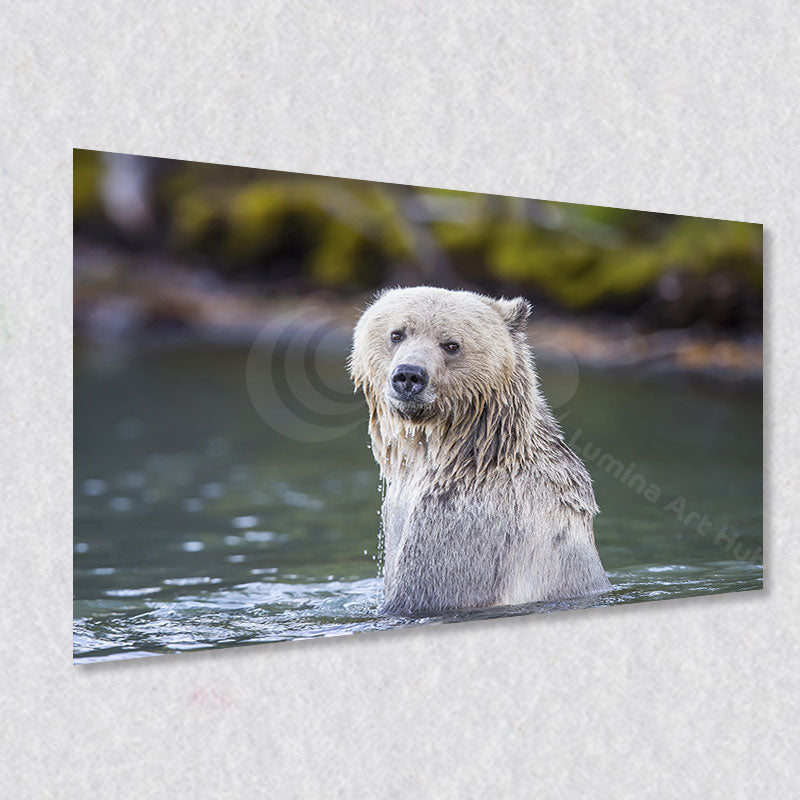 "Blondie" comes as a gallery wrapped canvas print with a rich 1.5 inch thick wood frame. We use a moisture resistant poly-cotton canvas that will not sag and high quality inks that will last over 100 years.