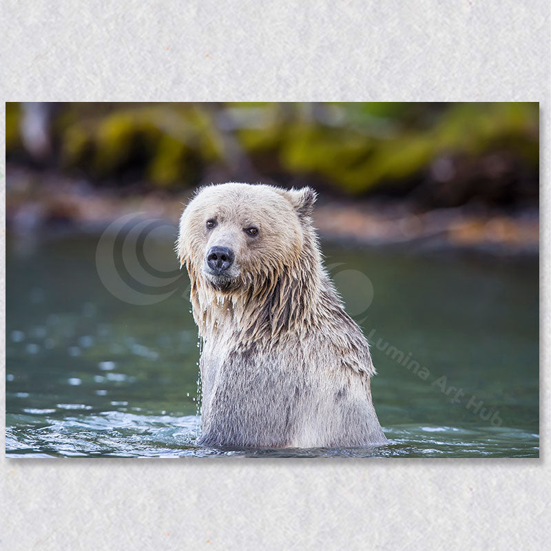 "Blondie" photograph 