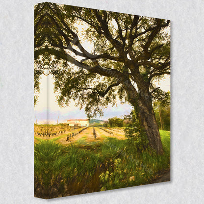 "Cork Tree Serenity" photograph comes as a gallery wrapped canvas print with a rich 1.5 inch thick wood frame. We use a moisture resistant poly-cotton canvas that will not sag and high quality inks that will last over 100 years.