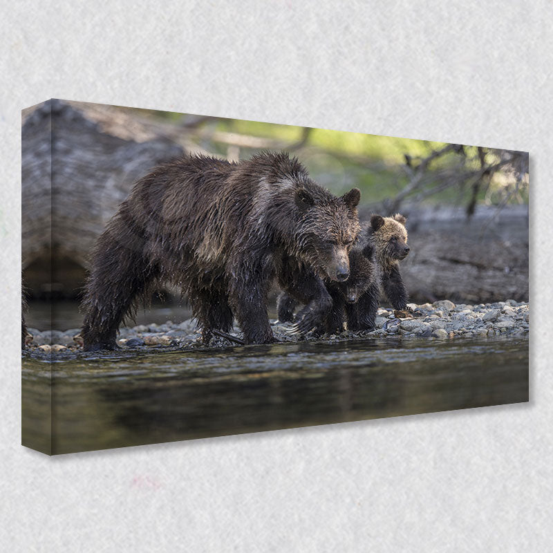 "Family Bond" photograph comes as a gallery wrapped canvas print with a rich 1.5 inch thick wood frame. We use a moisture resistant poly-cotton canvas that will not sag and high quality inks that will last over 100 years.