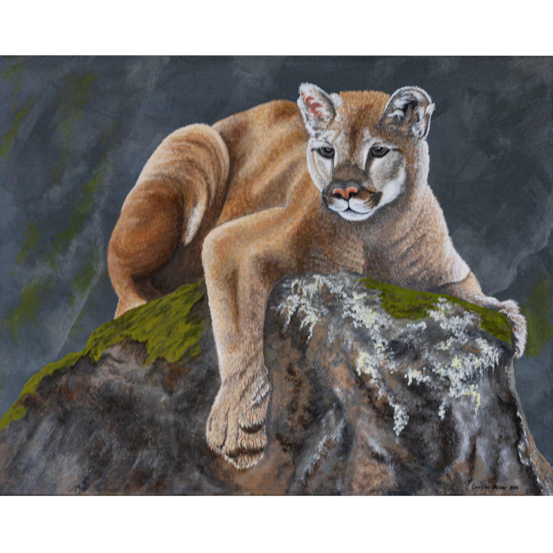 Mountain Spirit original acrylic BC cougar painting by Canadian artist Carolynn Ashley, 24 x 30 inches, featuring a Canadian mountain lion.