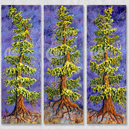 "Dark Sky" wall art is a stunning triptych of three old growth threes.  