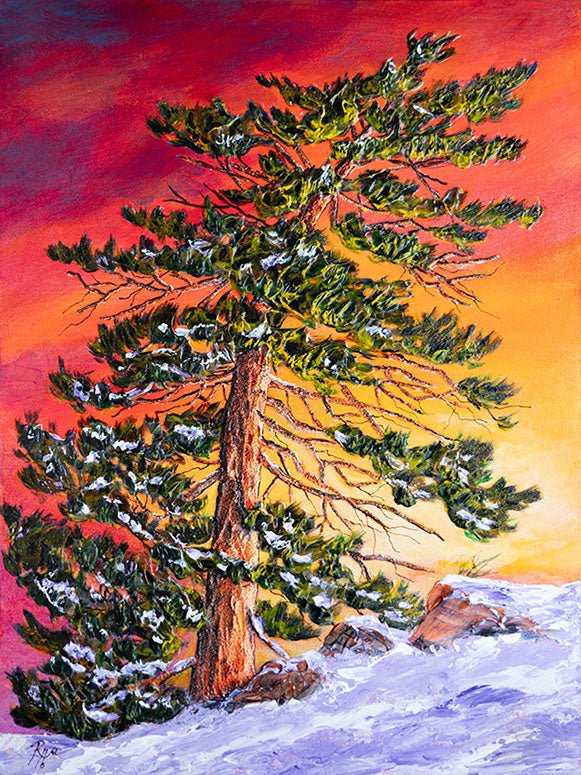 Painting of a snow-covered pine tree against a vibrant sunset sky.