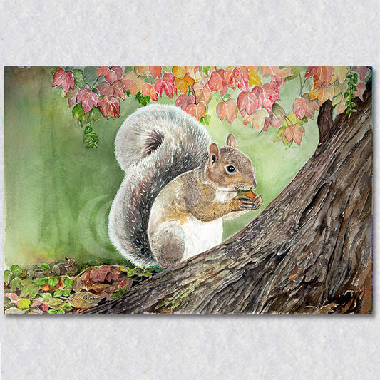 "Going Nuts" wall art was created by Susan Holmes.